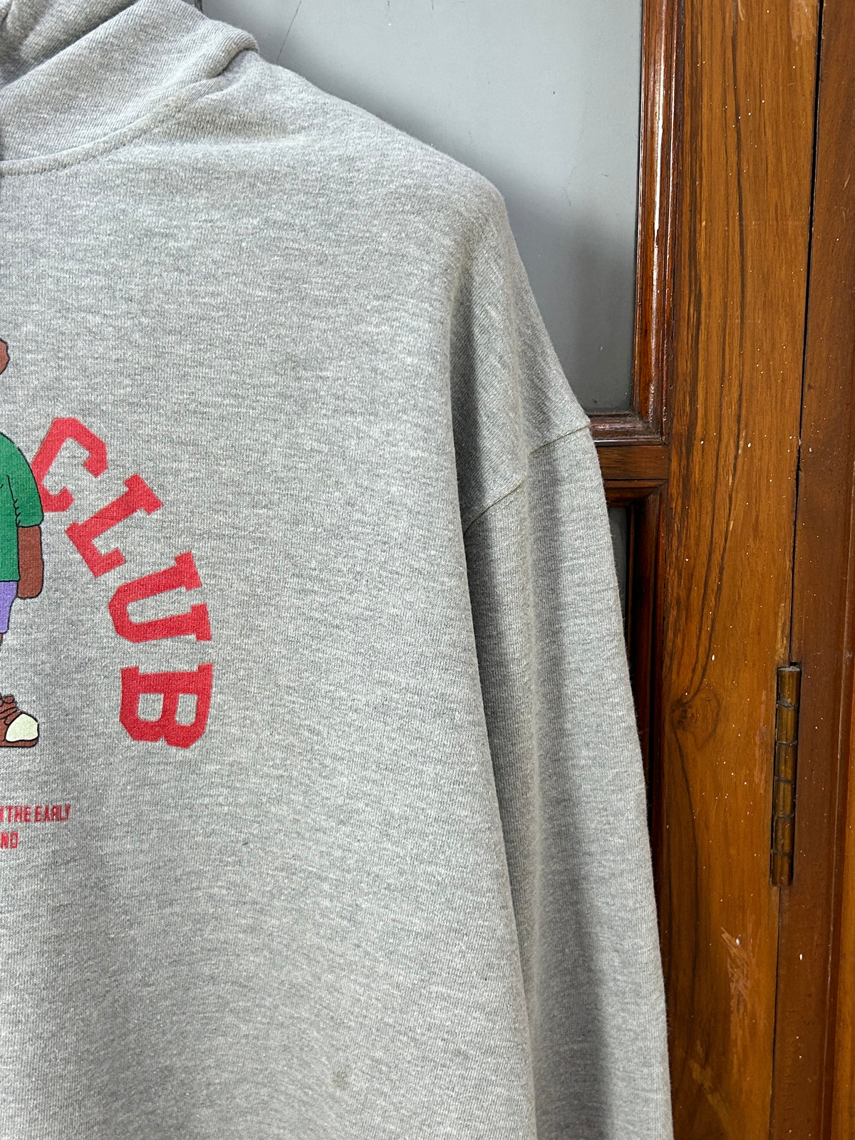 GREY PRINTED HOODIE ( F6181 )